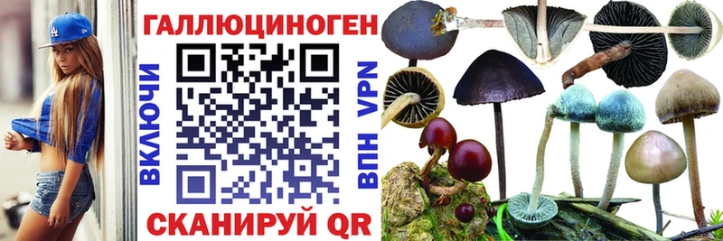 Купить  Красавино  Галлюциногенные грибы мицелий 